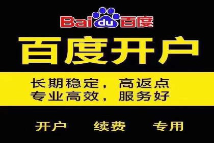 百度广告的定向投放与效果监控